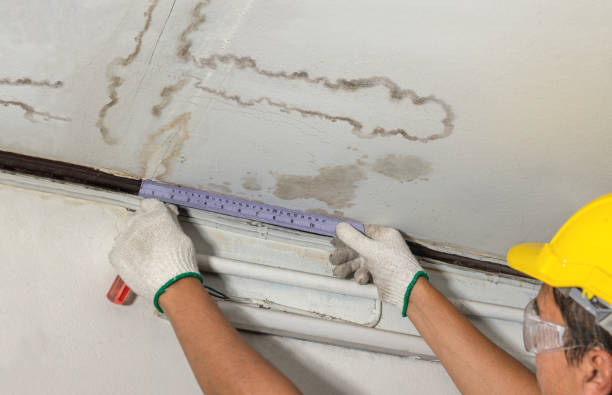 Reliable Mold Remediation contractor in DeWitt, MI by Water Damage Irwin